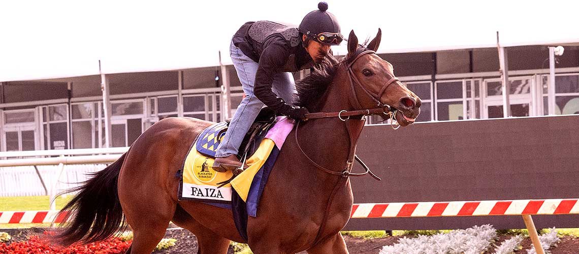 Faiza-02
