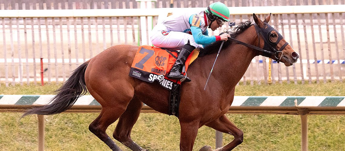 Speedyness-2024-MWood(2)