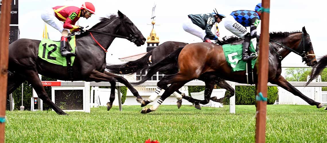 pimlico-2022-1
